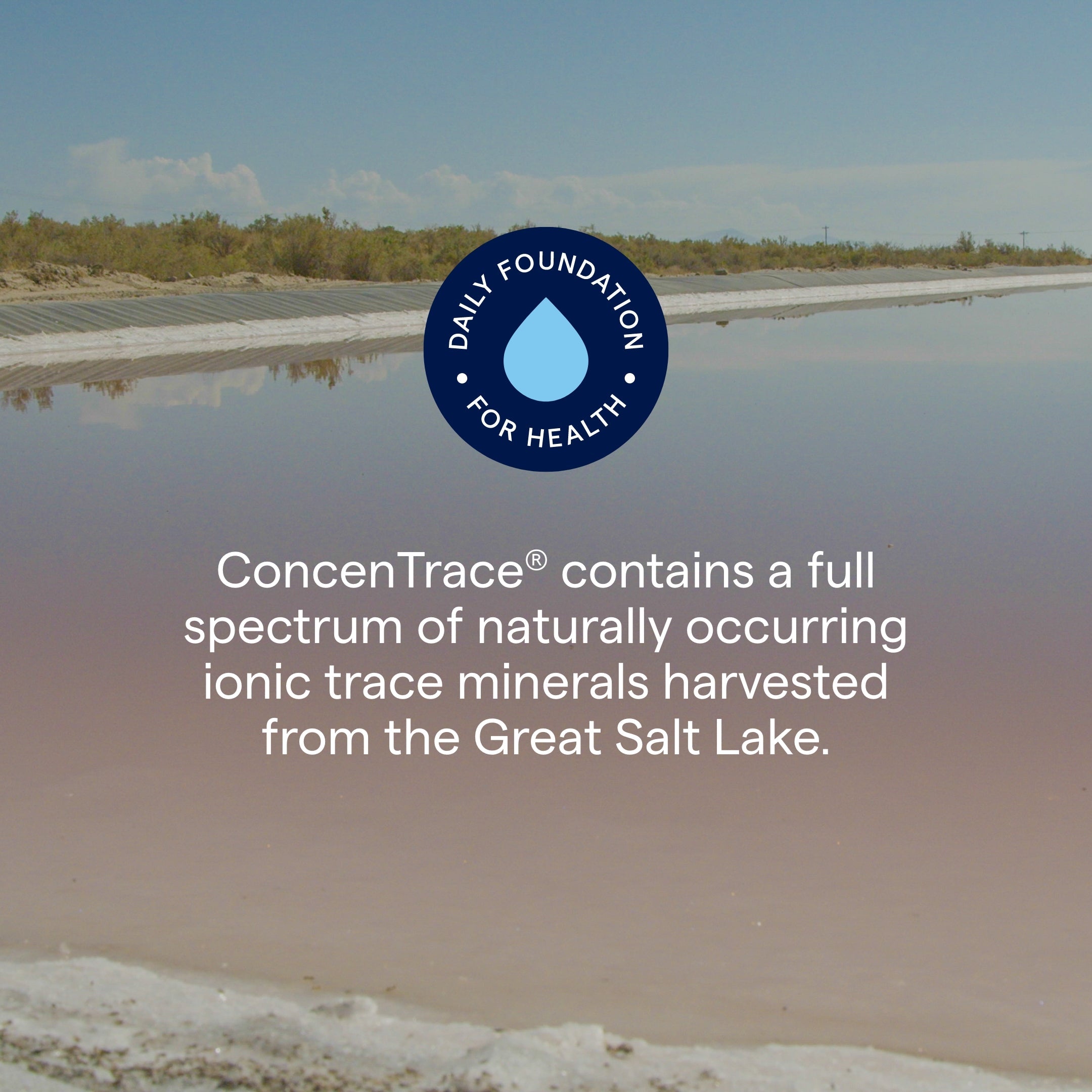 ConcenTrace® Trace Mineral Lichid