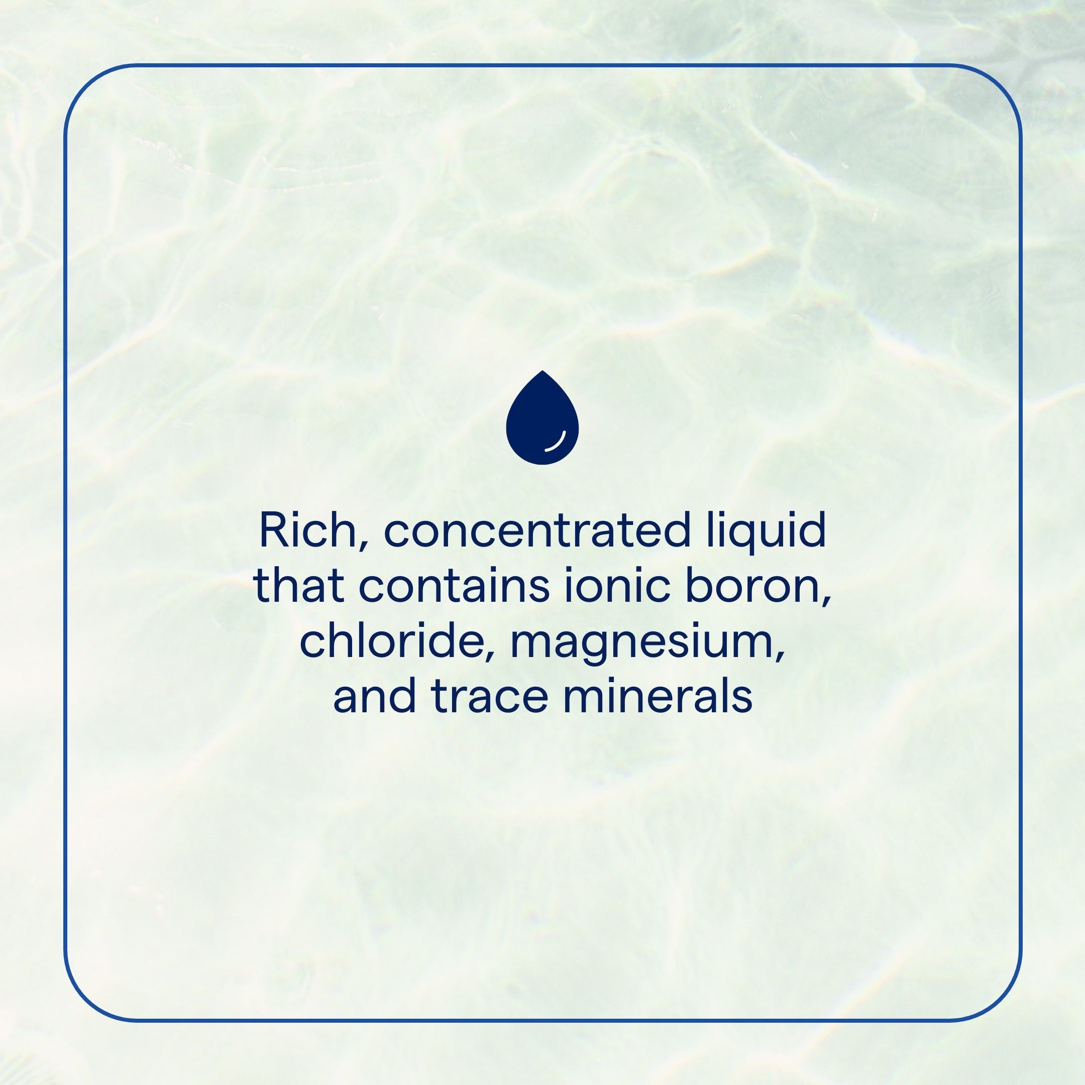 Ionic Boron - Bor Ionic 59ml